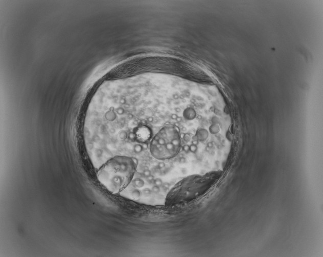 X0000111930151200909071245