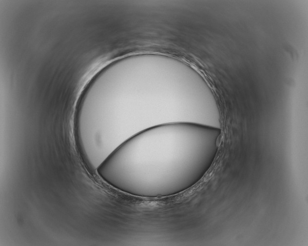 X0000111930152200909071245