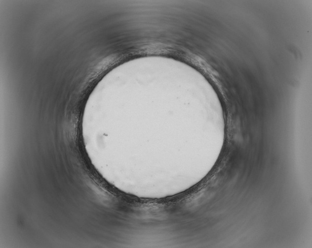 X0000111930153200909071245