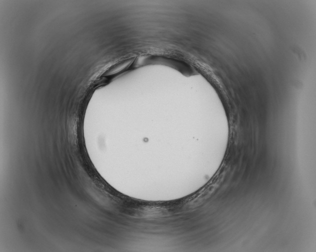 X0000111930154200909071245