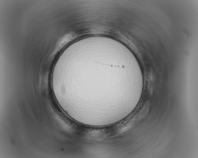 X0000111930155200909071245