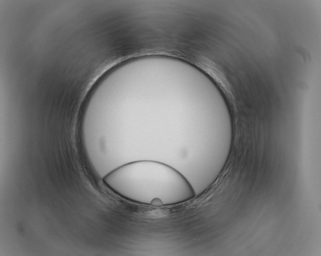 X0000111930156200909071245