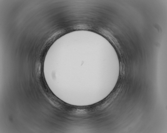 X0000111930157200909071245