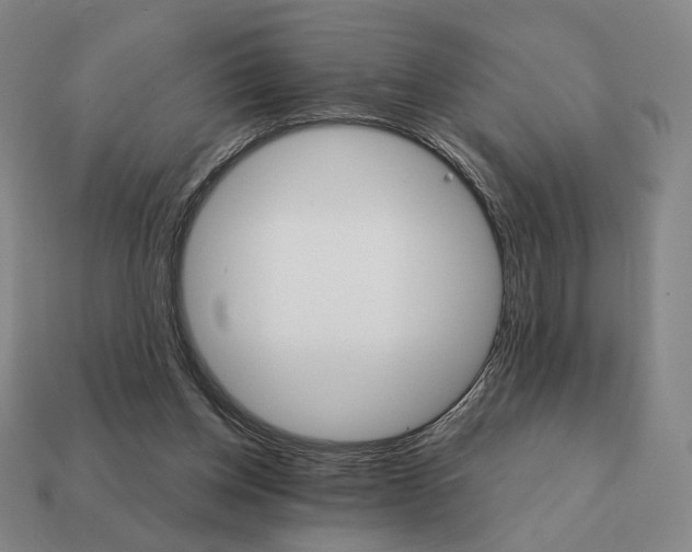 X0000111930158200909071245