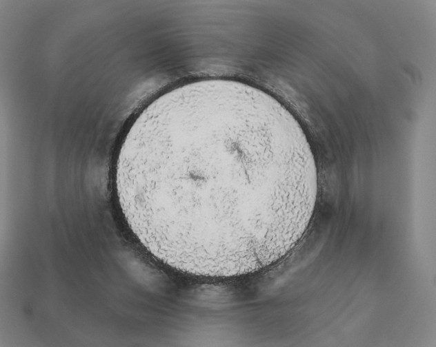 X0000111930159200909071245