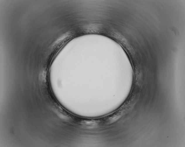 X0000111930161200909071245