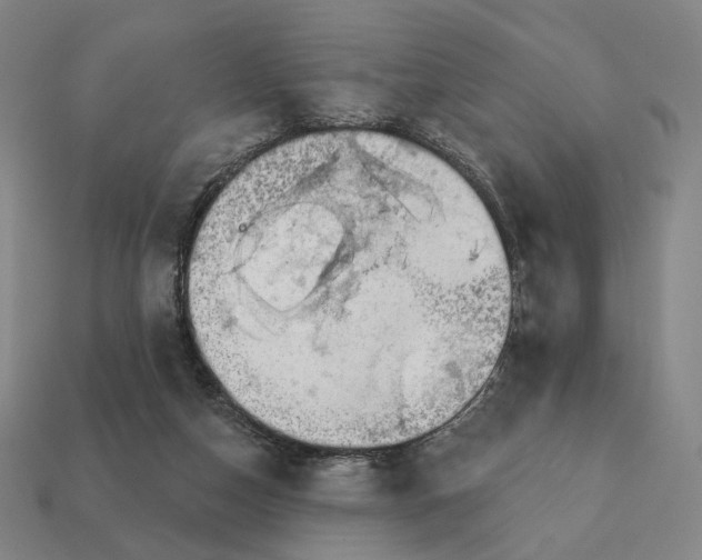 X0000111930162200909071245