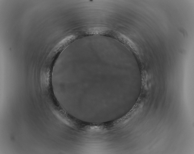 X0000111930163200909071245