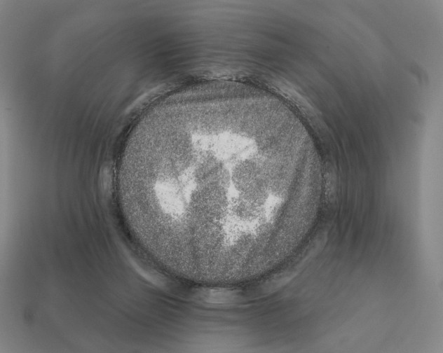 X0000111930165200909071245