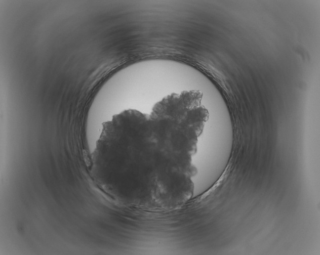 X0000111930166200909071245