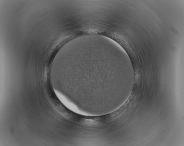 X0000111930167200909071245