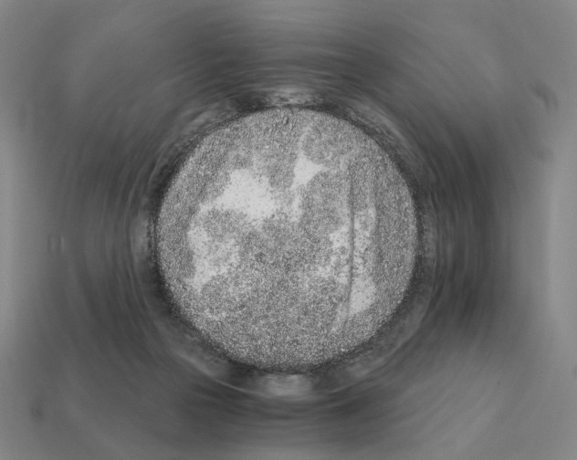 X0000111930169200909071245