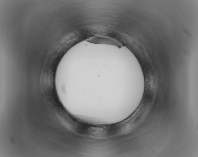 X0000111930170200909071245