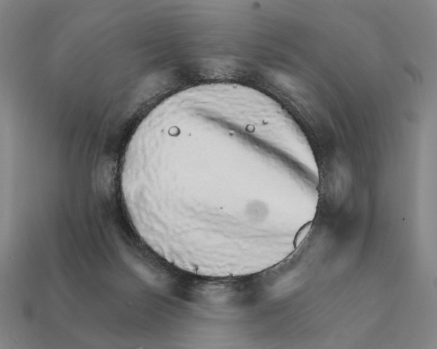 X0000111930171200909071246