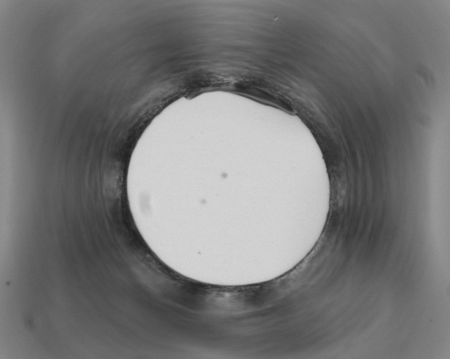 X0000111930174200909071246