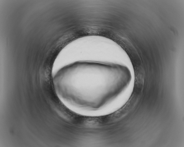 X0000111930175200909071246