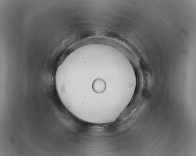 X0000111930176200909071246