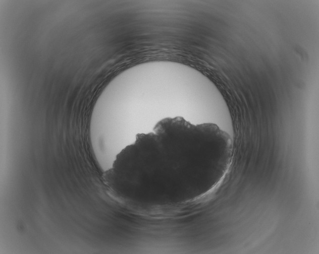 X0000111930178200909071246