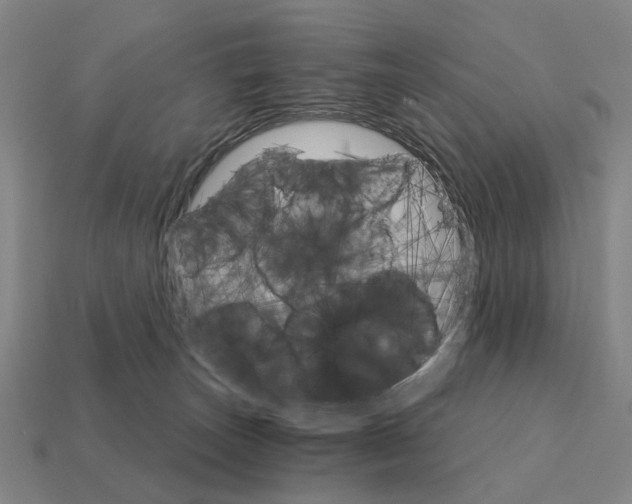 X0000111930179200909071246