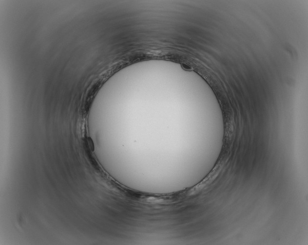 X0000111930180200909071246