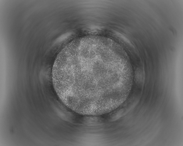 X0000111930181200909071246