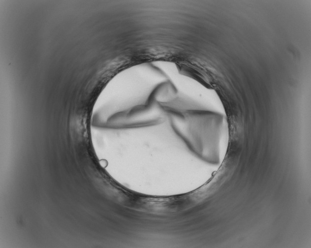 X0000111930182200909071246