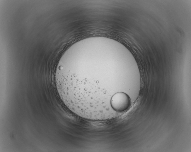 X0000111930183200909071246