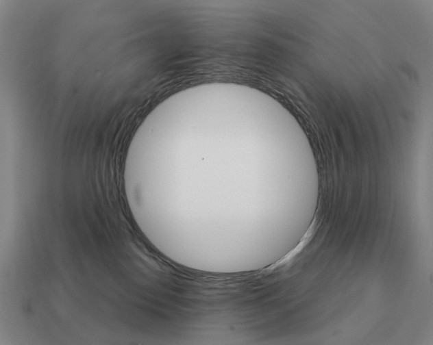 X0000111930186200909071246