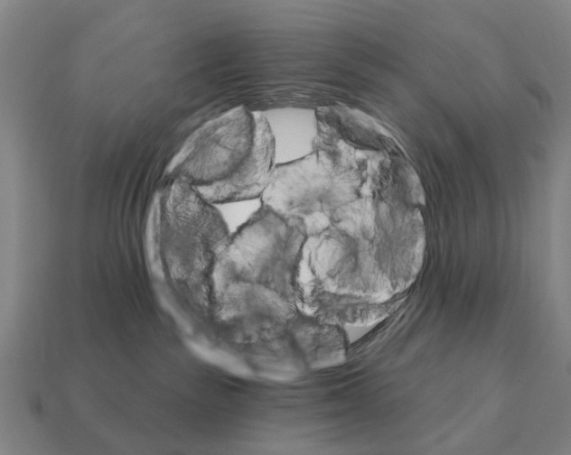 X0000111930189200909071246