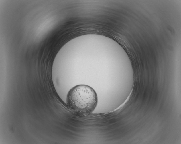 X0000111930190200909071246