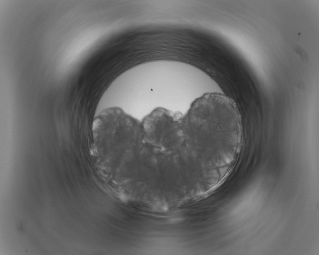 X0000111930191200909071246