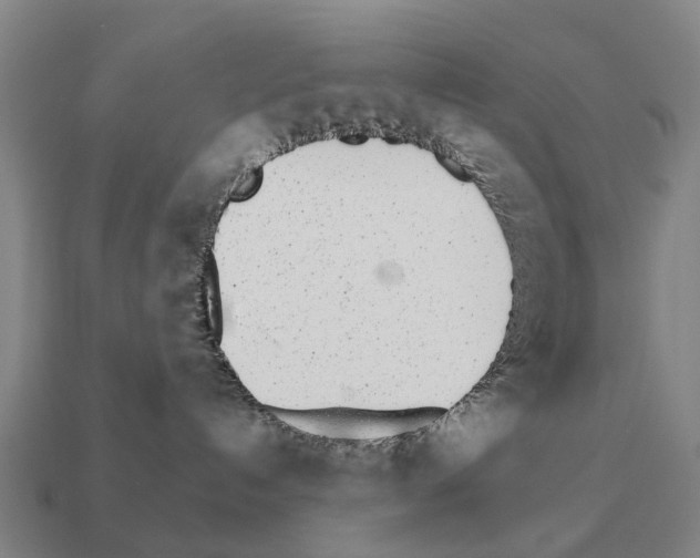 X0000111930192200909071246