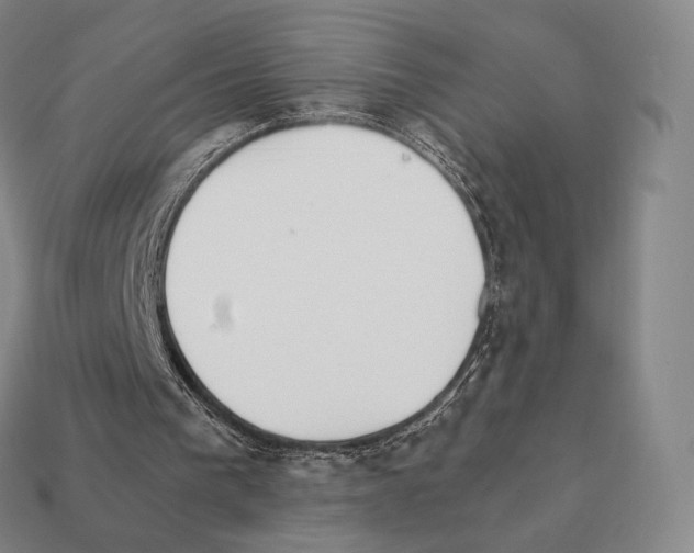 X0000111930193200909071245