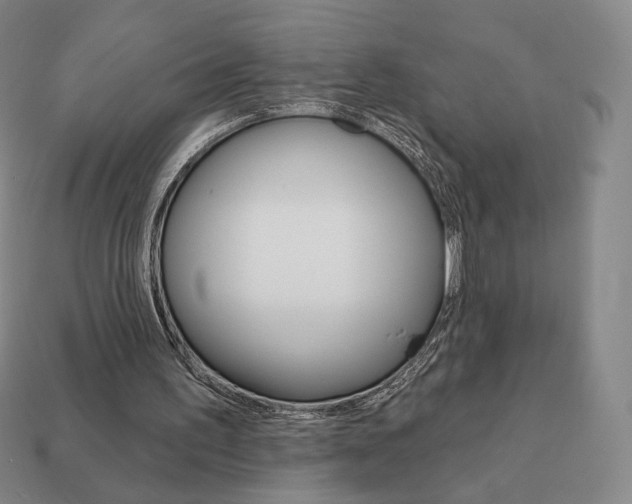 X0000111930195200909071245