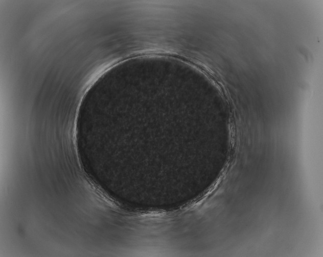 X0000111930196200909071245