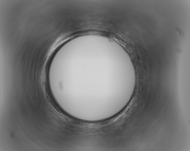 X0000111930198200909071245