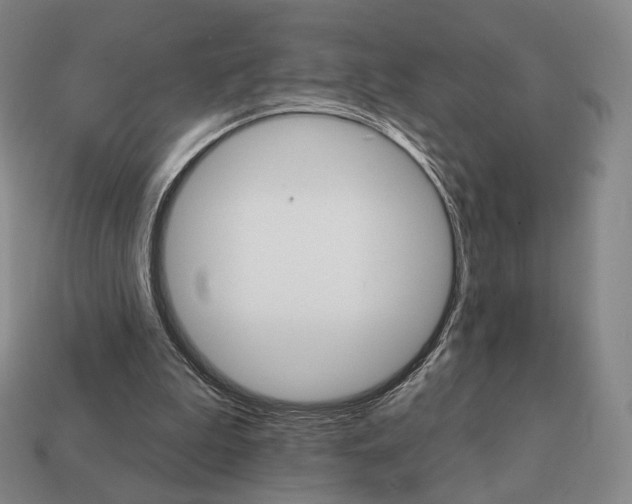 X0000111930199200909071245