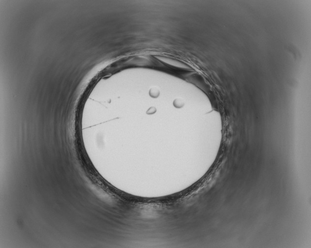 X0000111930200200909071245