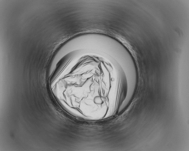 X0000111930201200909071245