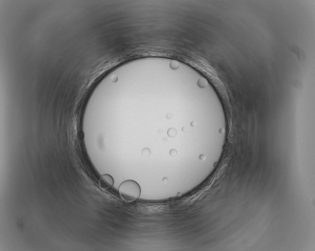 X0000111930202200909071245