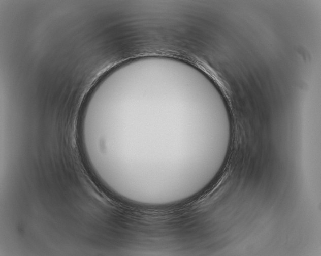 X0000111930203200909071245