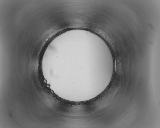 X0000111930204200909071245