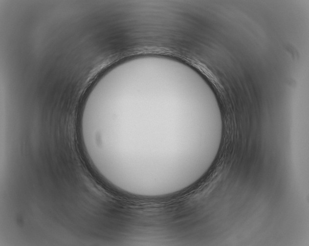 X0000111930207200909071245