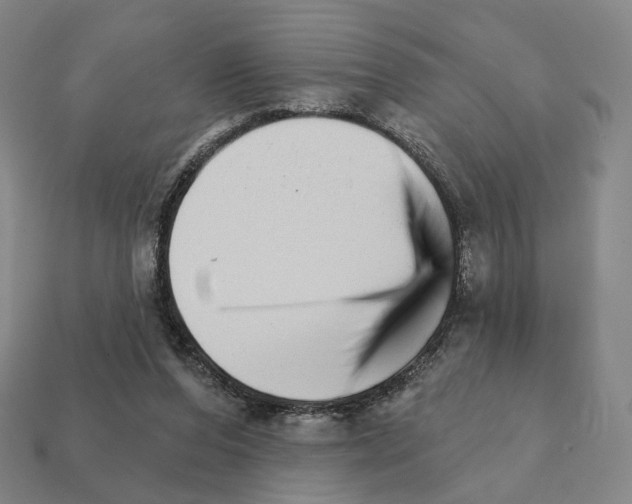 X0000111930208200909071245