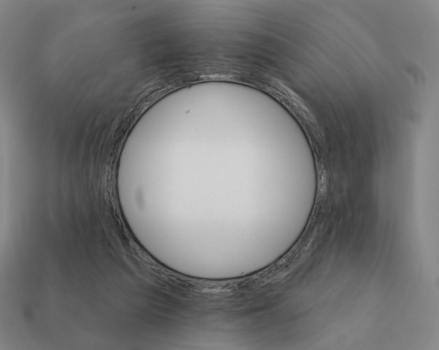 X0000111930209200909071245