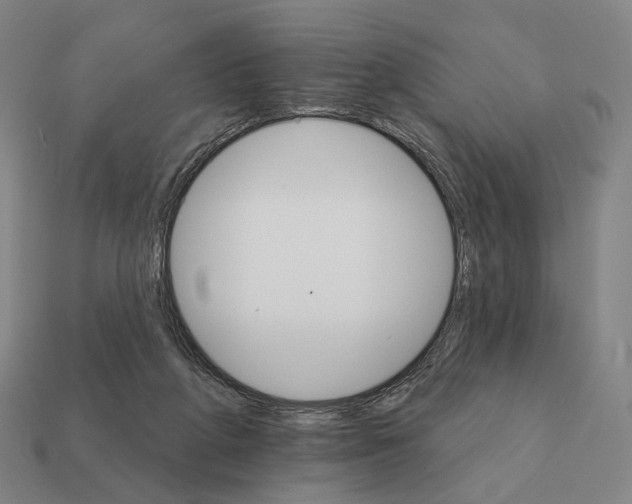 X0000111930210200909071245