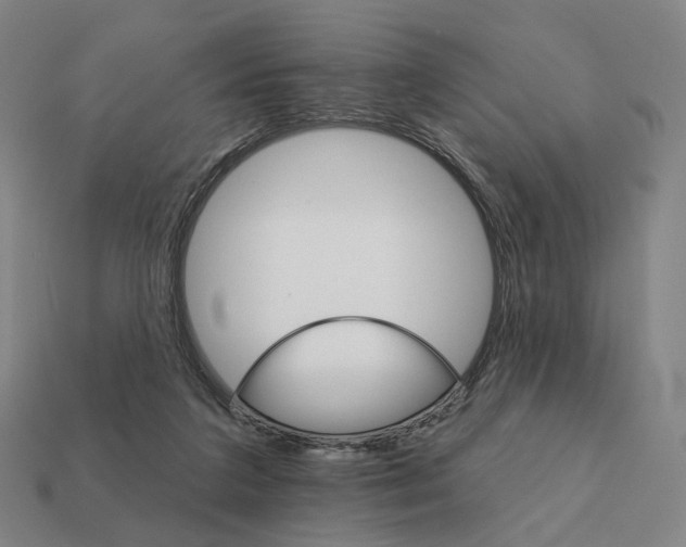 X0000111930211200909071245