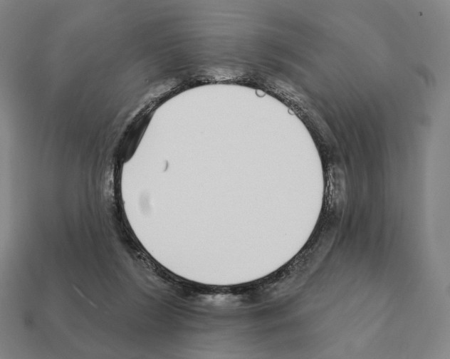 X0000111930212200909071245