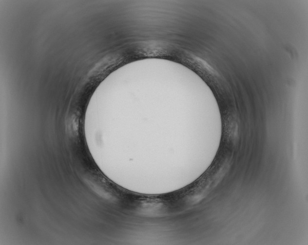 X0000111930214200909071245