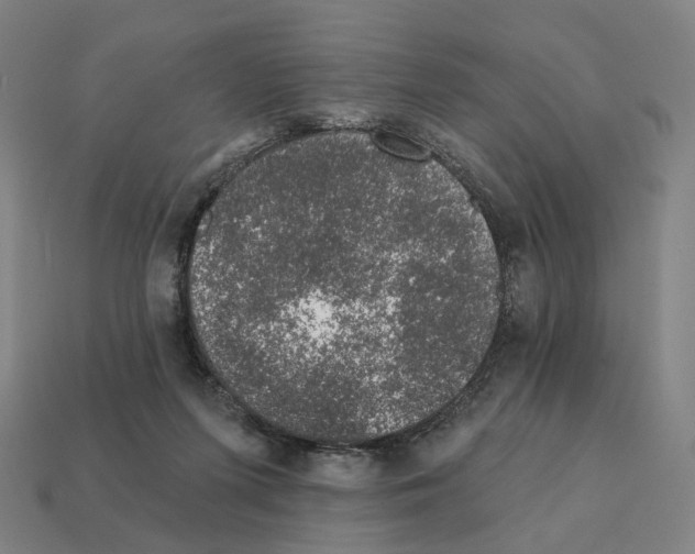 X0000111930215200909071245